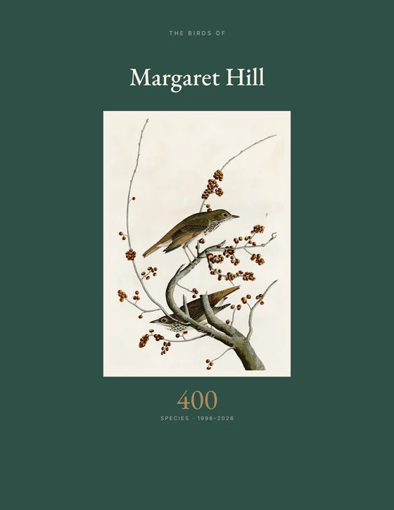 The front cover: a dark green hardcover titled The Birds of Margaret Hill, with Audubon’s painting of two Hermit Thrushes on a berry branch, and 400 species, 1996–2026, below it.